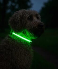 Professor Q Nylon LED-halsband voor honden – M – 37–46 cm – groen - detailfoto 2