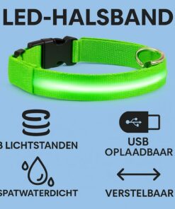 Professor Q Nylon LED-halsband voor honden – M – 37–46 cm – groen - detailfoto 3