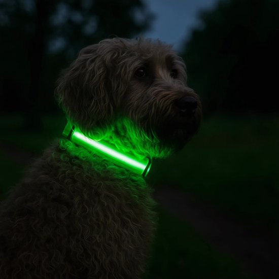 Professor Q Nylon LED-halsband voor honden – XL – 42–56 cm – groen - detailfoto 2
