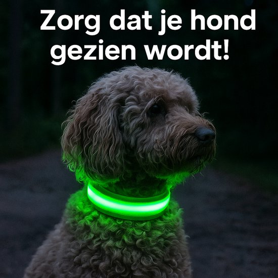 Professor Q Nylon LED-halsband voor honden – XL – 42–56 cm – groen - detailfoto 3