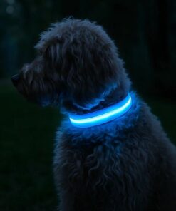 Professor Q Nylon LED-halsband voor honden – S – 34–41 cm – blauw - detailfoto 2