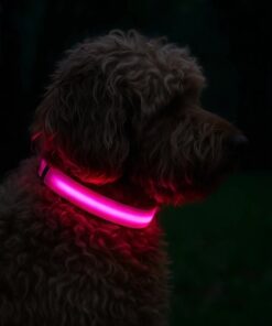 Professor Q Nylon LED-halsband voor honden – XS – 28 cm – roze - detailfoto 2
