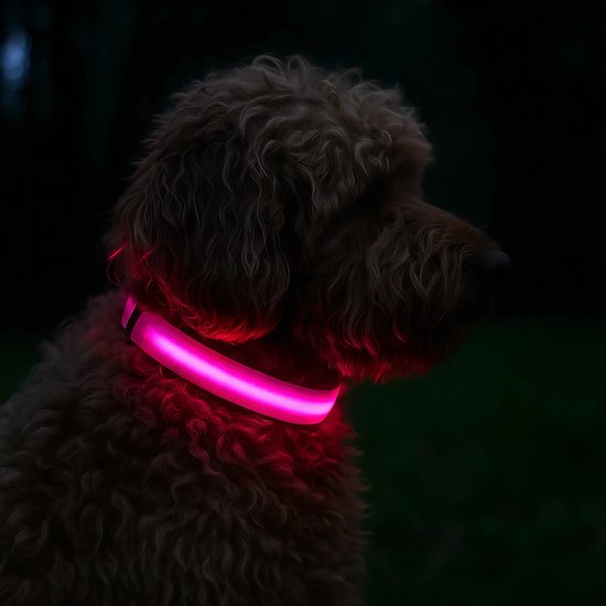 Professor Q Nylon LED-halsband voor honden – XS – 28 cm – roze - detailfoto 2