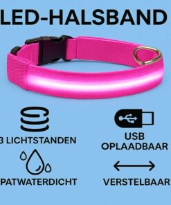 Professor Q Nylon LED-halsband voor honden – M – 37–46 cm – roze - detailfoto 3