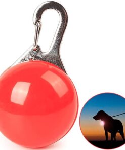 Professor Q LED-halsband voor honden – L – 65 cm – rood - detailfoto 3