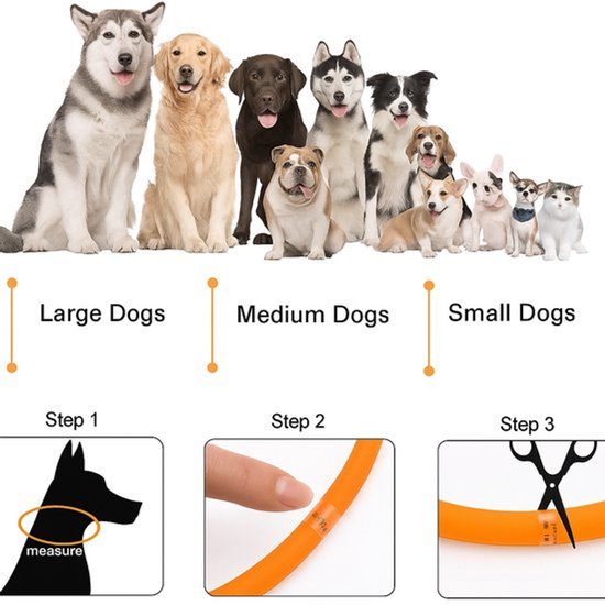 Professor Q LED-halsband voor honden – L – 100 poepzakjes – oranje - detailfoto 3