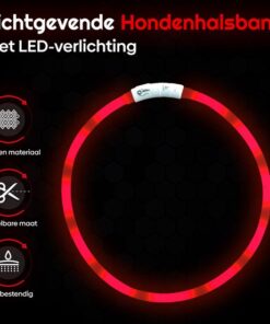 Professor Q LED-halsband voor honden – M – rood - detailfoto 2