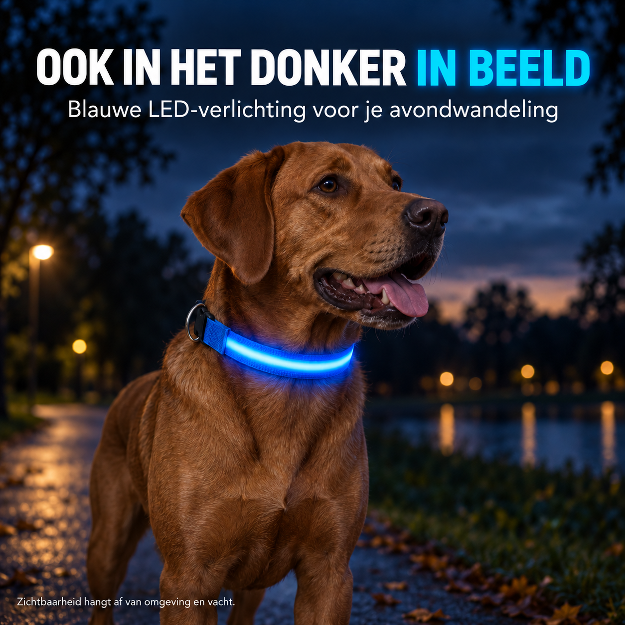Professor Q Nylon LED-halsband voor honden – XS – 28–32 cm – blauw - detailfoto 2