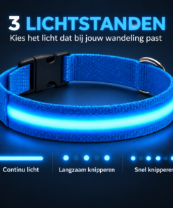Professor Q Nylon LED-halsband voor honden – XS – 28–32 cm – blauw - detailfoto 3