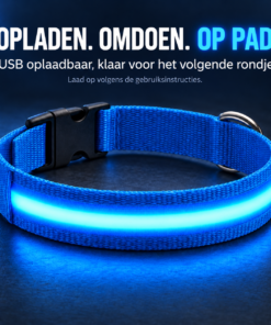Professor Q Nylon LED-halsband voor honden – XS – 28–32 cm – blauw - detailfoto 4