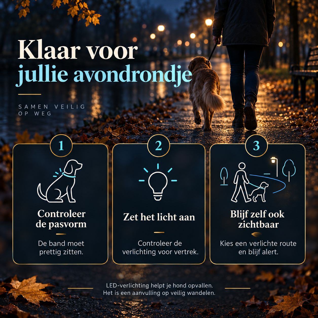 Controleer pasvorm en verlichting van de LED-halsband en blijf zelf zichtbaar tijdens het wandelen