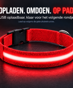Professor Q Nylon LED-halsband voor honden – S – 34–41 cm – rood - detailfoto 4