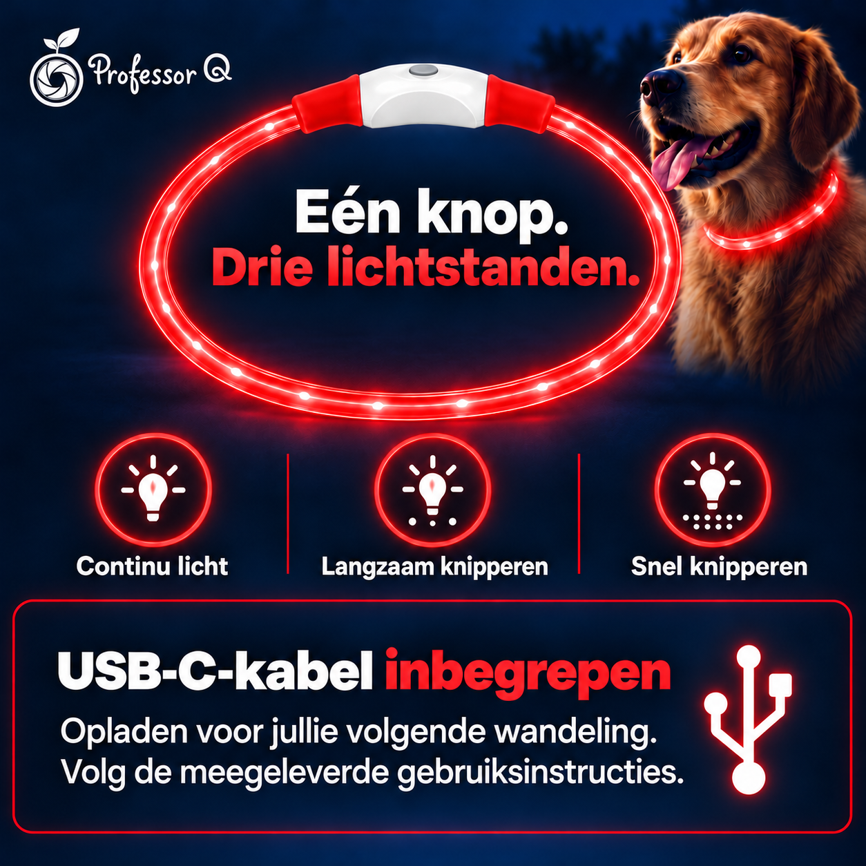 Professor Q LED hondenhalsband - Rood - S 35 cm - USB oplaadbaar - Verstelbaar - 3 lichtstanden - detailfoto 3